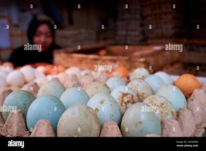 Harga Telur Ayam di Kuwarasan, Kebumen yang Berfluktuasi