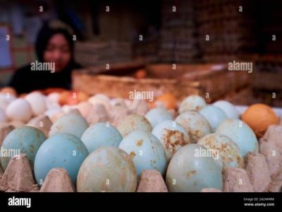 Harga Telur Ayam di Kuwarasan, Kebumen
