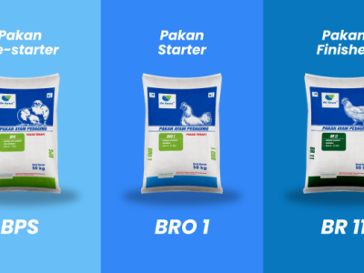 Pakan Broiler Terbaik di Pakuncen, Banyumas