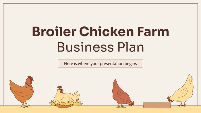 Usaha Ayam Broiler di Jatilawang, Banyumas