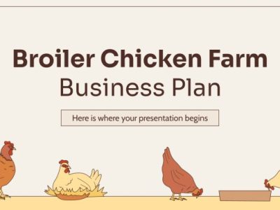 Usaha Ayam Broiler di Jatilawang, Banyumas