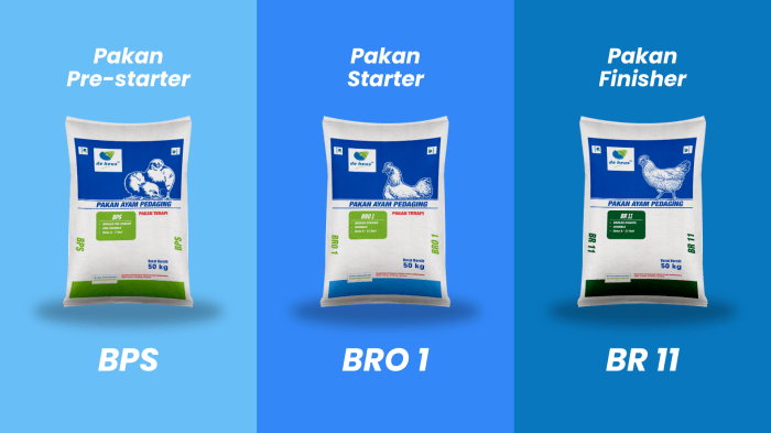 Pakan Broiler Terbaik di Pakuncen, Banyumas