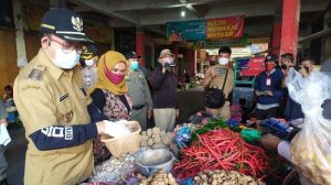 Harga DOC Hari Ini di Somagede, Banyumas Terkini