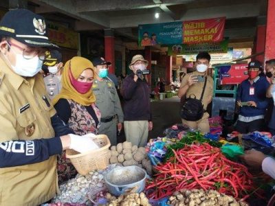 Harga DOC Hari Ini di Somagede, Banyumas