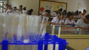 Cara Membuat Kandang Ayam di Karangsambung, Kebumen