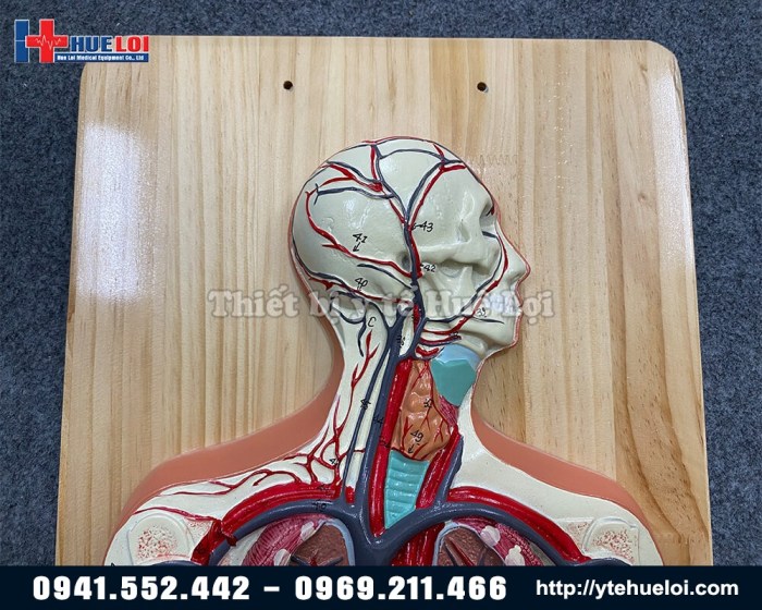 Ternak Ayam Modal Kecil di Purwodadi, Purworejo