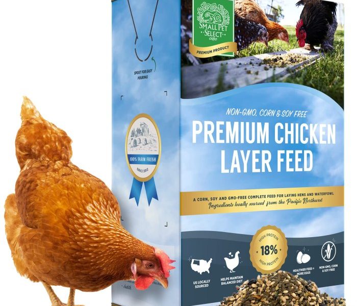 Pakan Ayam Petelur di Ayah, Kebumen