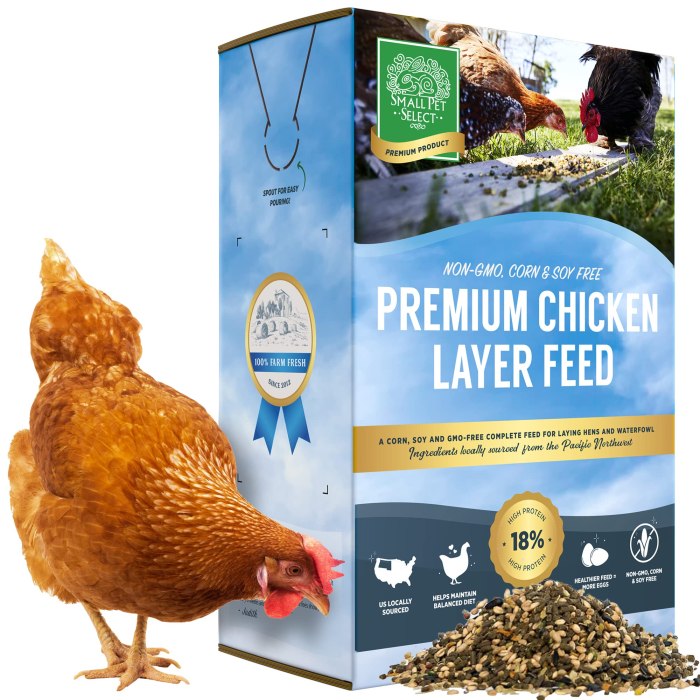 Pakan Ayam Petelur di Ayah, Kebumen