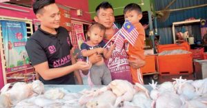 Pakan Ayam Bangkok di Gumelar, Banyumas yang Berkualitas