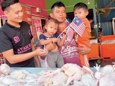 Pakan Ayam Bangkok di Gumelar, Banyumas