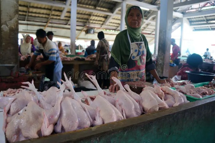 Jual Ayam Kampung di Sadang, Kebumen