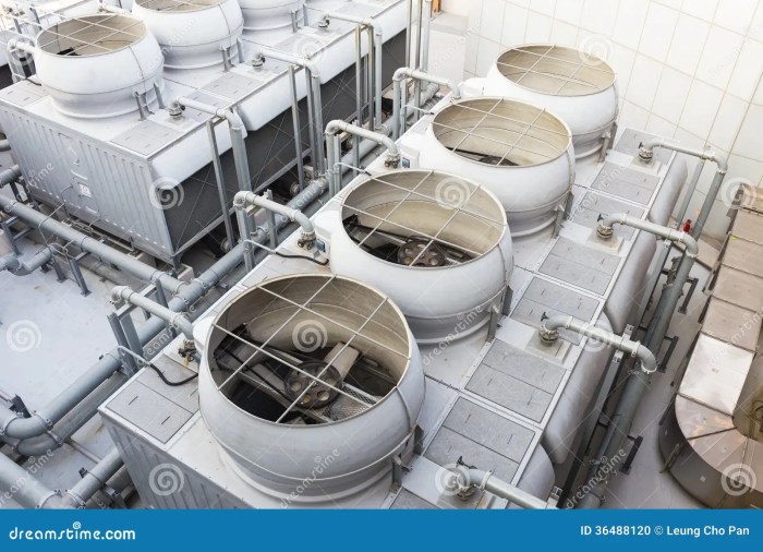 Ternak Ayam Rumahan di Rowokele, Kebumen