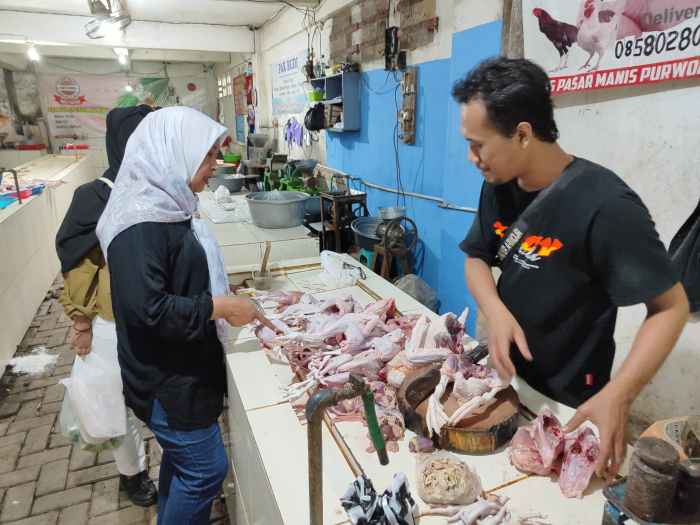 Jual Ayam Bangkok di Sumbang, Banyumas