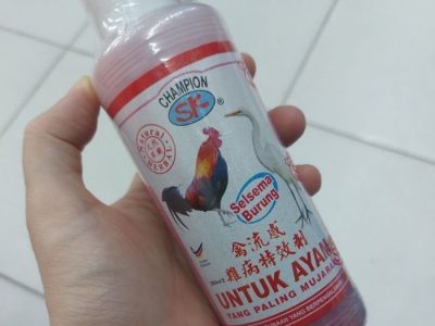 Obat Ayam Ngorok di Petanahan, Kebumen