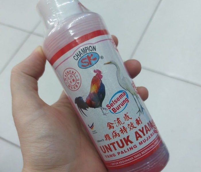 Obat Ayam Ngorok di Petanahan, Kebumen