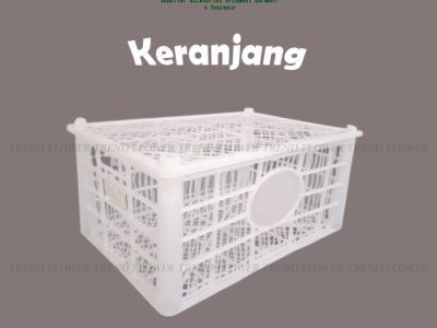 Kandang Ayam Mewah di Kebasen, Banyumas