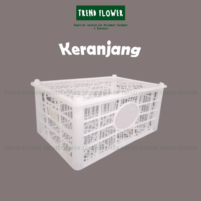 Kandang Ayam Mewah di Kebasen, Banyumas