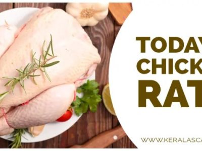 Harga Ayam Hari Ini di Kalibagor, Banyumas