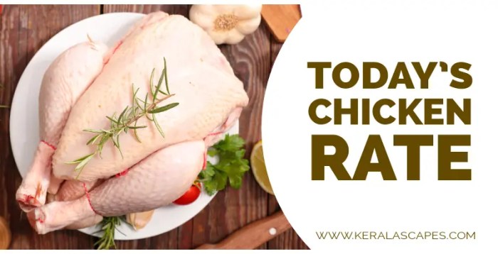 Harga Ayam Hari Ini di Kalibagor, Banyumas