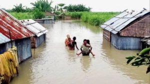 Vaksin Ayam Lengkap di Kedung Banteng, Banyumas