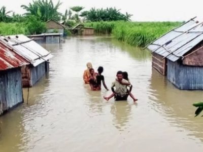Vaksin Ayam Lengkap di Kedung Banteng, Banyumas