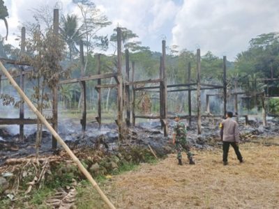 Ayam Sesak Nafas di Bener, Purworejo