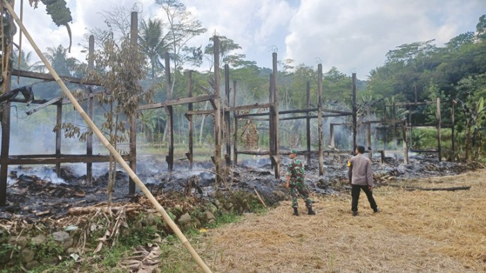 Ayam Sesak Nafas di Bener, Purworejo