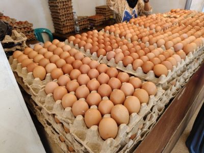 Harga Telur Hari Ini di Alian, Kebumen