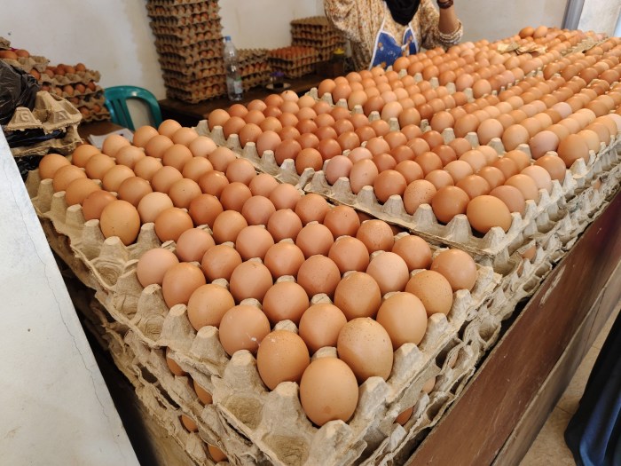 Harga Telur Hari Ini di Alian, Kebumen