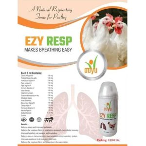 Obat Ayam Ngorok di Gumelar, Banyumas untuk Peternak