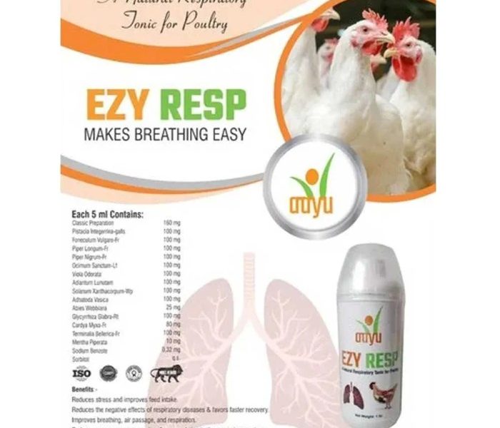 Obat Ayam Ngorok di Gumelar, Banyumas