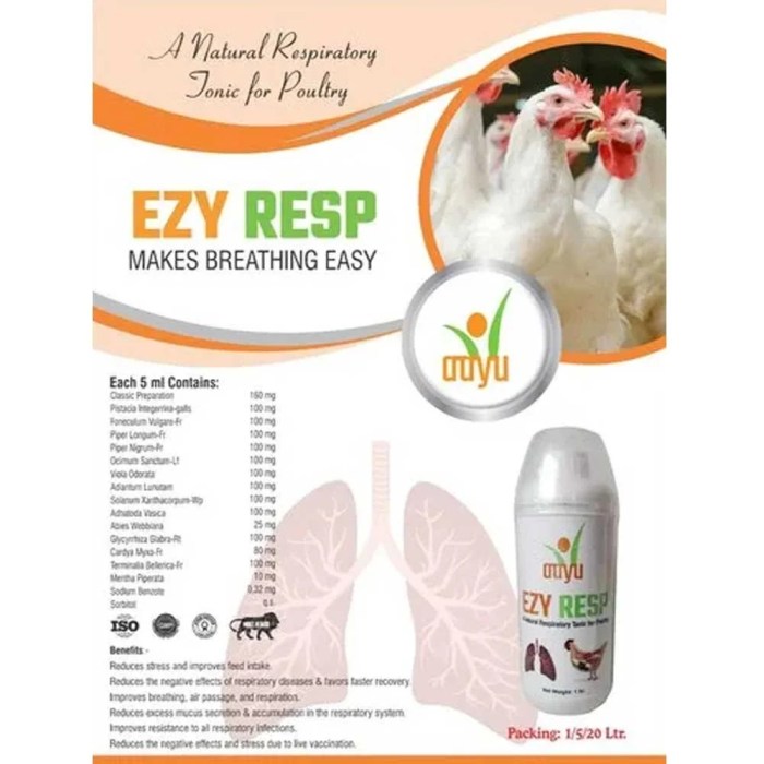 Obat Ayam Ngorok di Gumelar, Banyumas