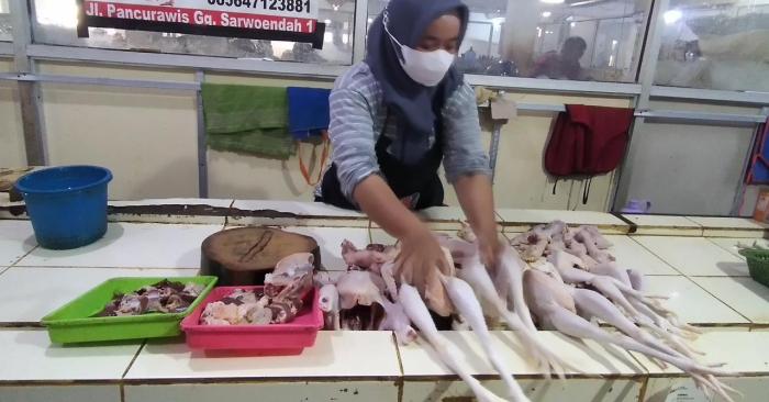 Usaha Ayam Broiler di Purwokerto Utara, Banyumas
