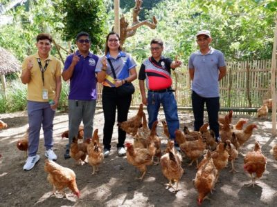 Ternak Ayam Kampung di Ngombol, Purworejo