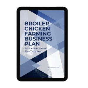 Usaha Ayam Broiler di Ambal, Kebumen yang Menjanjikan