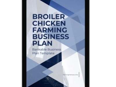 Usaha Ayam Broiler di Ambal, Kebumen