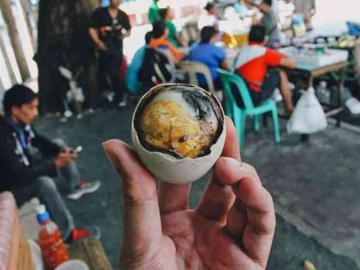 DOC Ayam Petelur di Pejagoan, Kebumen