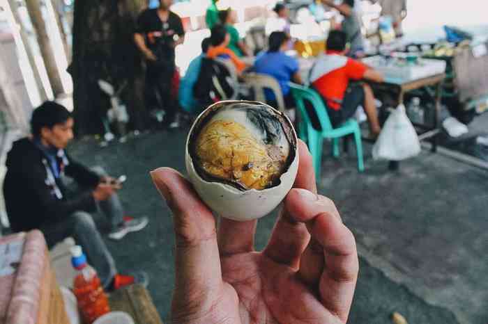 DOC Ayam Petelur di Pejagoan, Kebumen