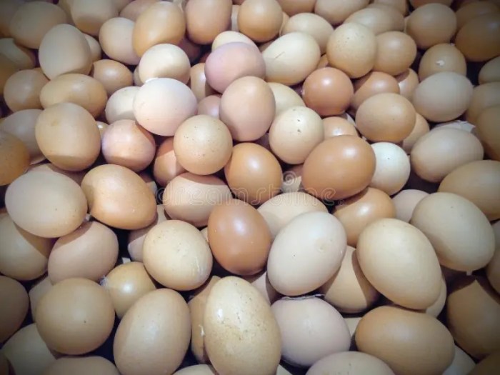 Harga Telur Ayam di Bancak, Semarang