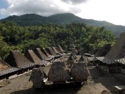 Peternak Ayam Sukses di Somagede, Banyumas