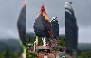 Ayam Terbesar Di Indonesia di Buluspesantren, Kebumen