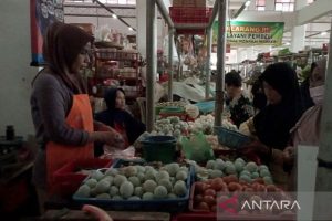 Harga Telur Hari Ini di Kebasen, Banyumas Terkini