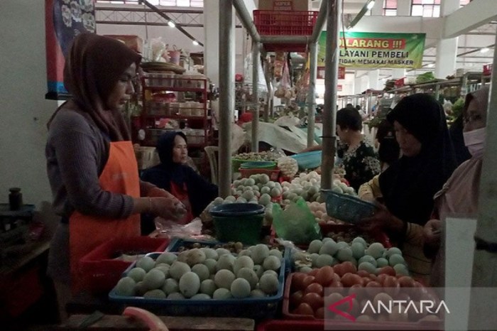 Harga Telur Hari Ini di Kebasen, Banyumas