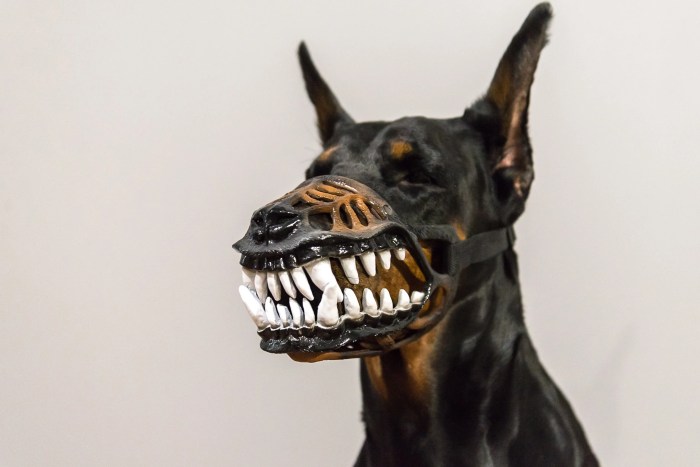 Ayam Broiler Mati di Kembaran, Banyumas