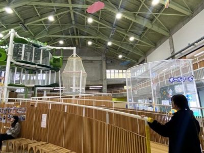 Bisnis Ayam Petelur di Kaligesing, Purworejo