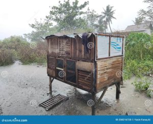 Kandang Ayam Otomatis di Karanglewas, Banyumas Inovatif