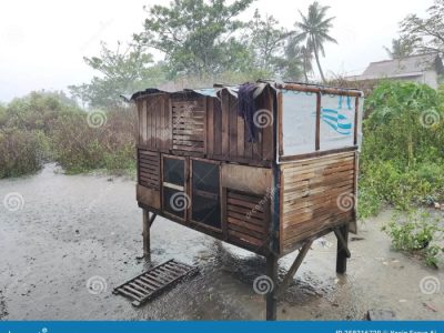 Kandang Ayam Otomatis di Karanglewas, Banyumas