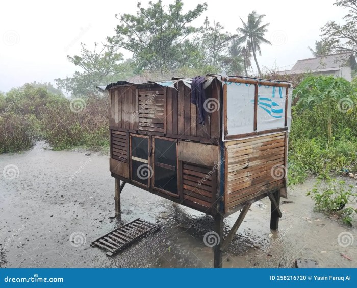 Kandang Ayam Otomatis di Karanglewas, Banyumas