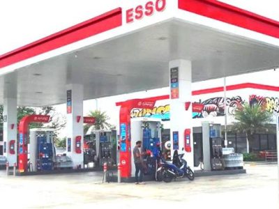 Pakan Ayam Bangkok di Pituruh, Purworejo