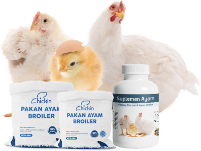 FCR Ayam Broiler di Ambarawa, Semarang